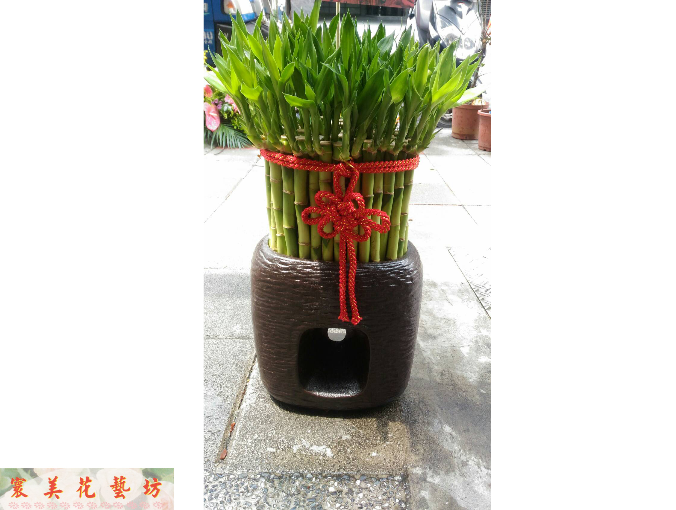 各式盆栽8