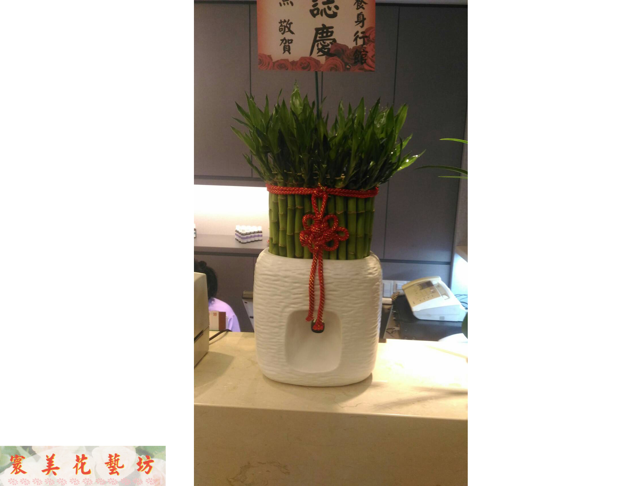 各式盆栽10