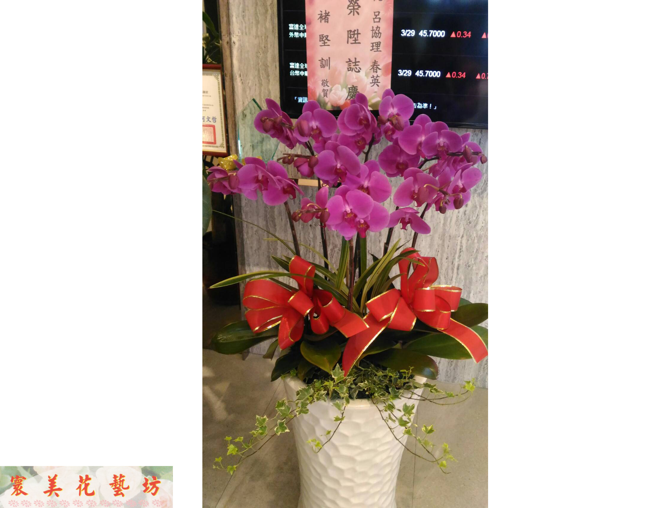 各式花卉13